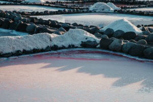 _MG_1513 -  - 