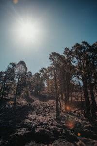 _MG_4934 -  - 