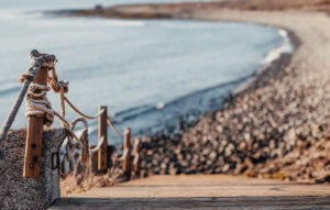 _MG_5974 -  - 