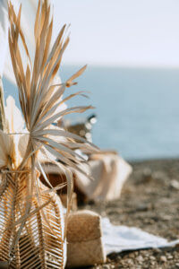_MG_8359 -  - 