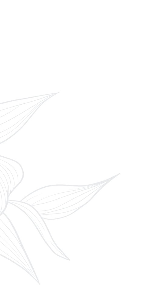 Startseite - -